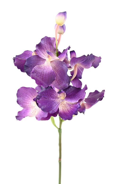 Konstgjord Vanda Orchid Lila 70 Cm Dekoration