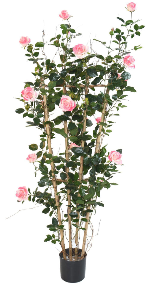 Artificiell Blomma Palisade Rose Bush H.160Cm Rosa