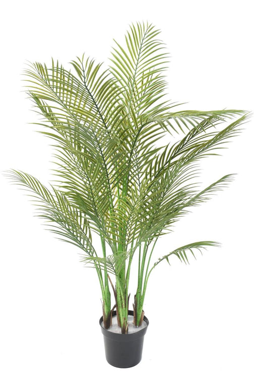 Artificiell Areca Palm H.145Cm För Inomhus