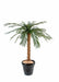 Konstgjord Cycas Palmträd 140 Cm Inomhusväxt