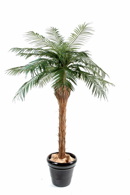 Konstgjord Phoenix Palm 150 Cm För Inomhus