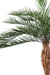 Konstgjord Phoenix Palm 220 Cm För Utomhusbruk