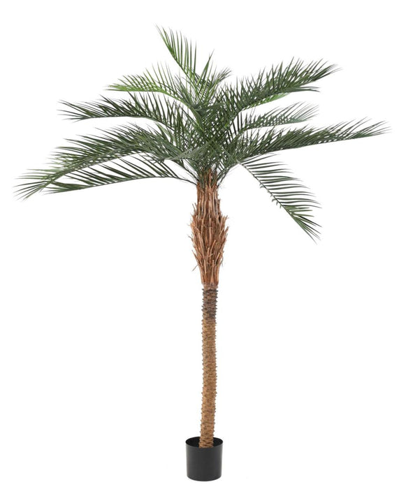 Konstgjord Phoenix Palm 220 Cm För Utomhusbruk