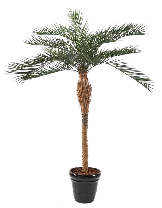 Konstgjord Phoenix Palm 220 Cm För Utomhusbruk