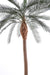 Konstgjord Phoenix Palm 280 Cm För Utomhusbruk