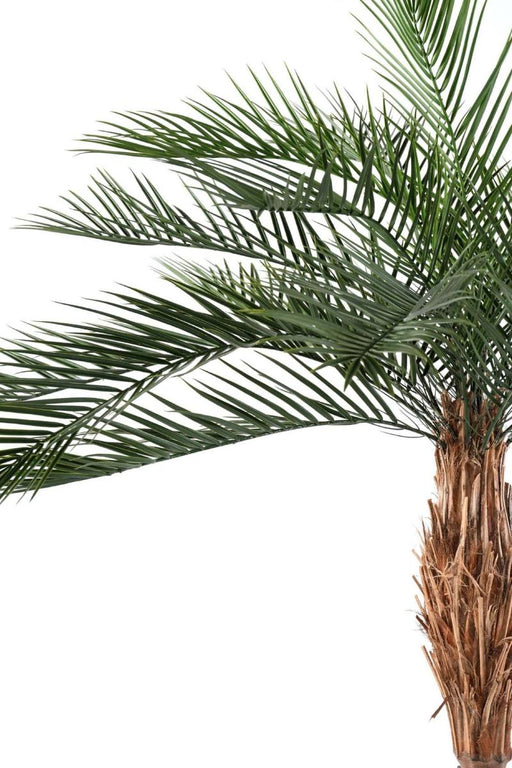 Konstgjord Phoenix Palm 290 Cm För Utomhusbruk