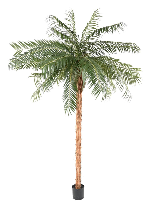 Konstgjord Phoenix Palm 340 Cm För Inomhus