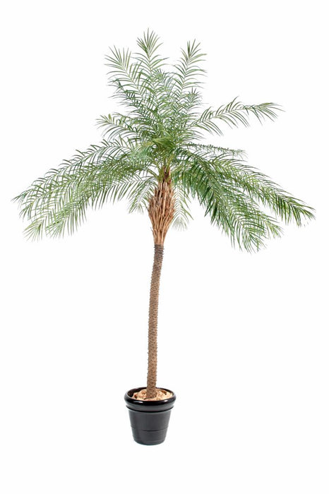 Grön Konstgjord Palm 190 Cm Inomhusväxt