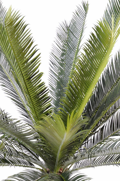 Konstgjord Cycas Palm 100 Cm För Inomhus Utomhus