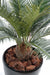 Konstgjord Cycas Palm 65Cm Inomhus Utomhus