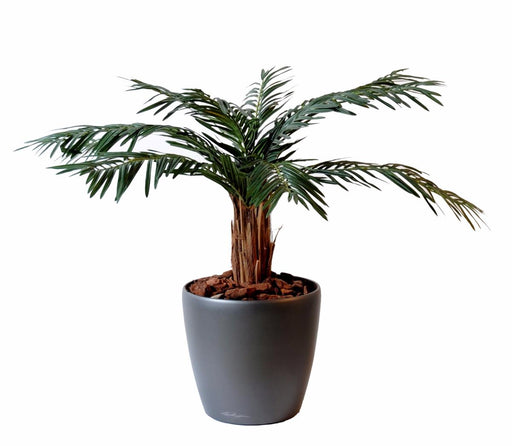 Konstgjord Cycas Palm 80Cm För Inomhusbruk