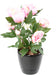 Konstgjord Pion 60 Cm Rosa Inredning