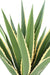 Konstgjord Växt Agave Furcraea 110Cm Grön Gul