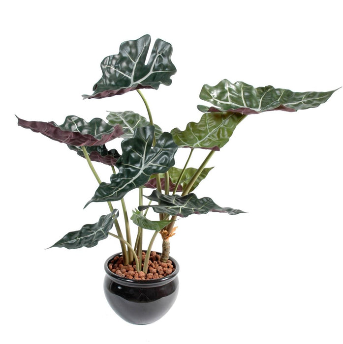 Konstgjord Växt Alocasia 65Cm Grön Röd