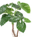 Konstgjord Växt Alocasia Calidora 130 Cm Dekoration