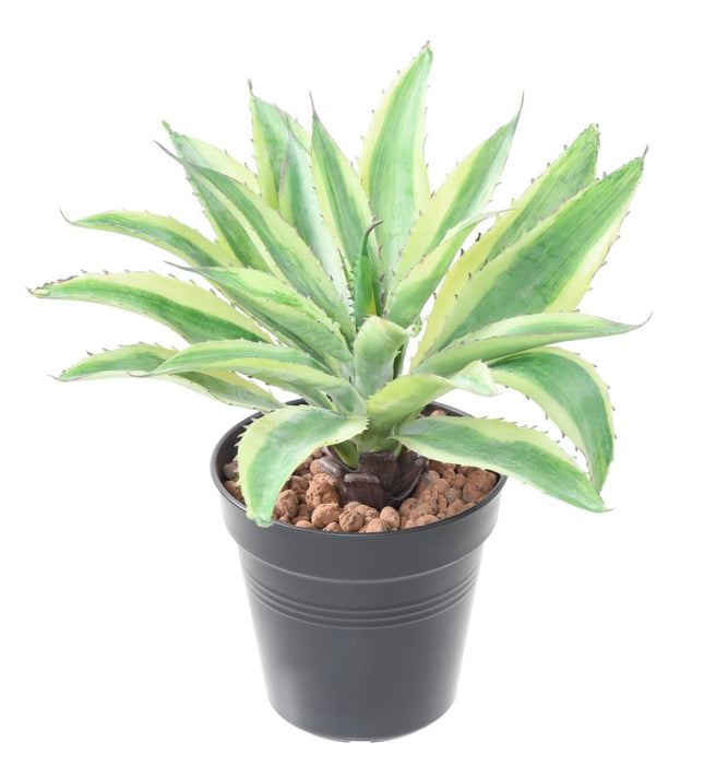 Konstgjord Växt Aloe Cactus Inomhus 27Cm Grön