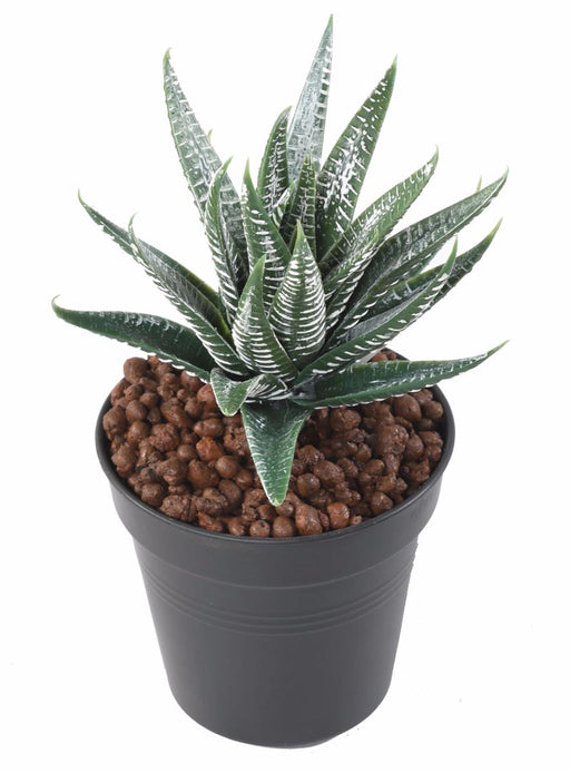 Artificiell Aloe Ferox Plant 15Cm Indoor Green