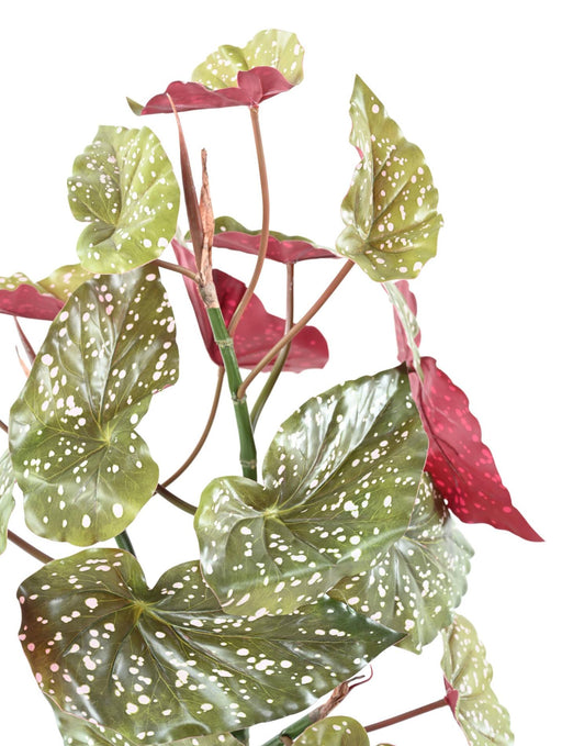 Konstgjord Växt Begonia Maculata 70Cm Grön Röd