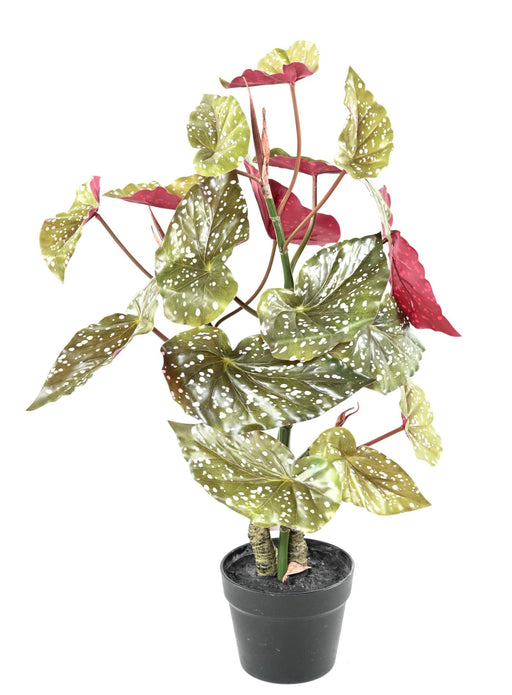 Konstgjord Växt Begonia Maculata 70Cm Grön Röd