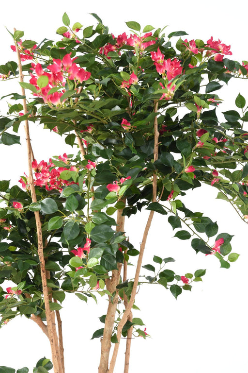 Konstgjord Bougainvillea Plant Fuchsia 160 Cm