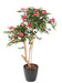 Konstgjord Bougainvillea Plant Fuchsia 160 Cm