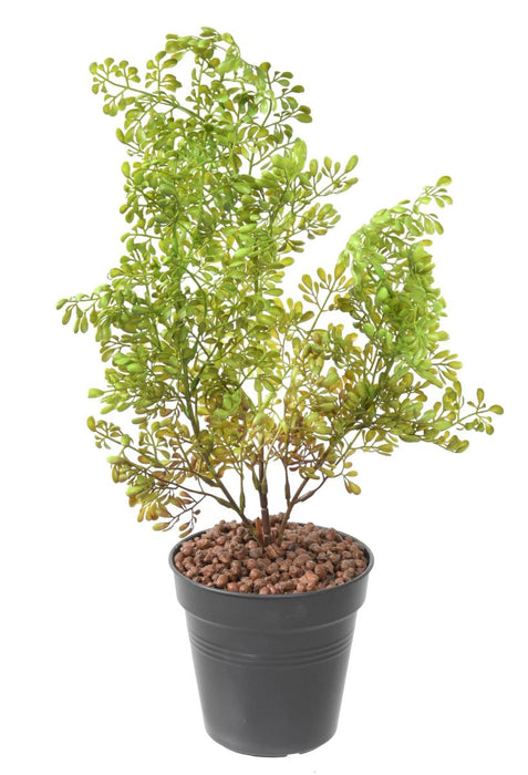 Konstgjord Växt Buxus Stake 50Cm Mörkgrön