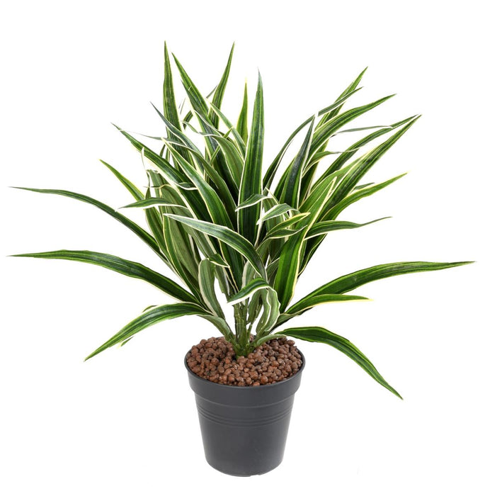 Konstgjord Växt Chlorophytum 42Cm Brokig