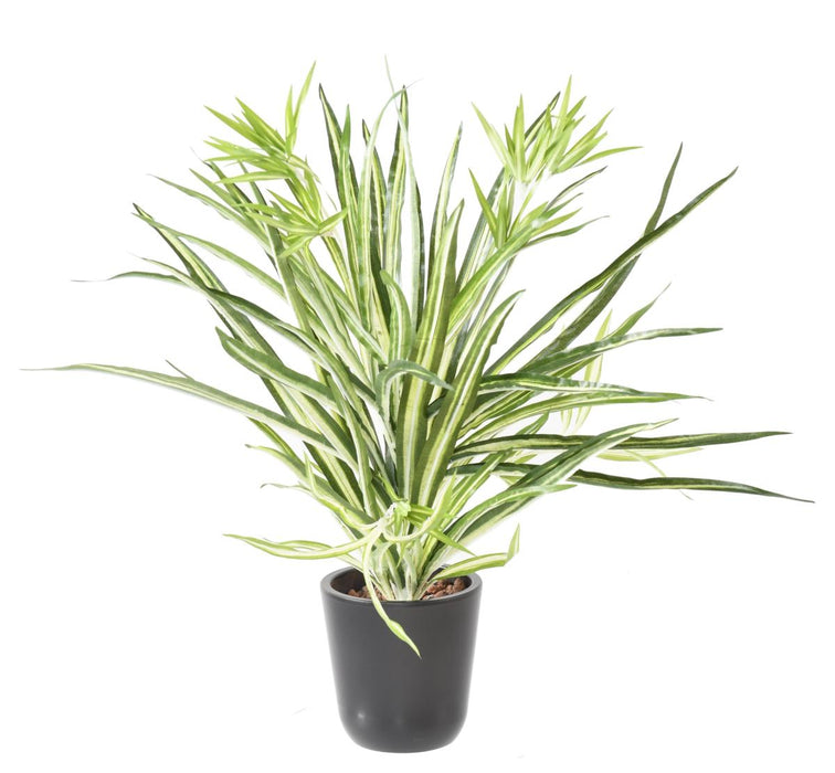 Konstgjord Växt Chlorophytum 65Cm Inredning