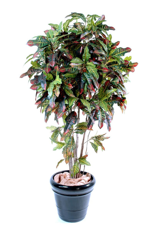 Artificiell Croton Plant 110Cm Inredning