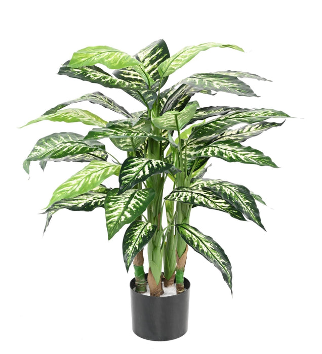 Konstgjord Växt Dieffenbachia 80Cm Inredning