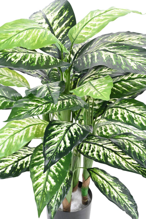 Konstgjord Växt Dieffenbachia 80Cm Inredning