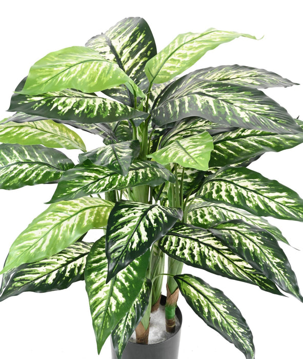 Konstgjord Växt Dieffenbachia 80Cm Inredning