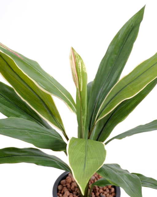 Konstgjord Växt Dracaena Cordyline 60 Cm Grön Gul