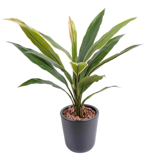 Konstgjord Växt Dracaena Cordyline 60 Cm Grön Gul