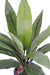 Konstgjord Växt Dracaena Cordyline 60Cm Grön