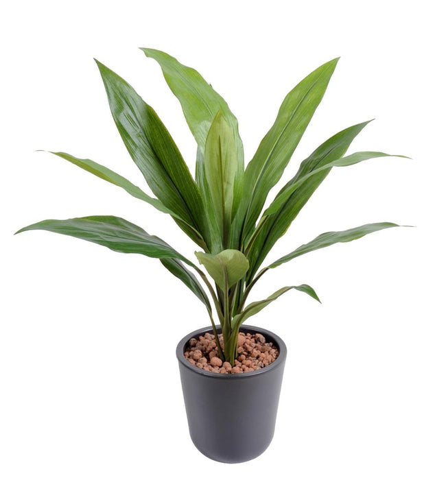 Konstgjord Växt Dracaena Cordyline 60Cm Grön