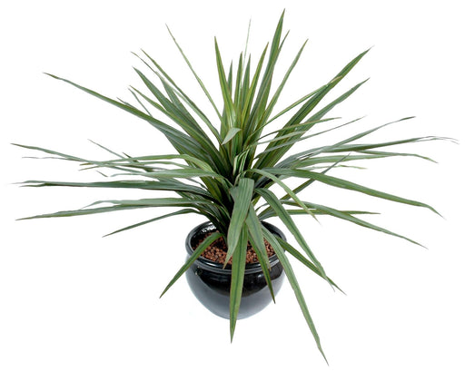 Konstgjord Växt Dracaena Marginata 45 Cm Dekoration