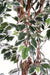 Konstgjord Växt Ficus Lianas 150Cm Cream Green