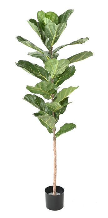 Konstgjord Växt Ficus Lyrata 160 Cm Grön