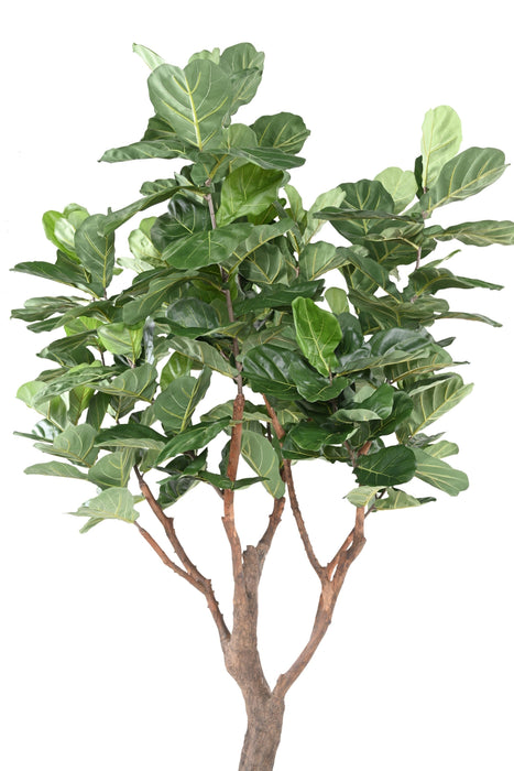 Konstgjord Växt Ficus Lyrata 290Cm Grön