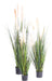 Konstgräs Carex Plant 180 Cm Grön