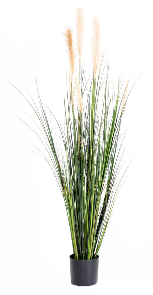 Konstgräs Carex Plant 180 Cm Grön