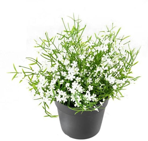 Artificiell Daisy Plant Mini I Kruka 20Cm