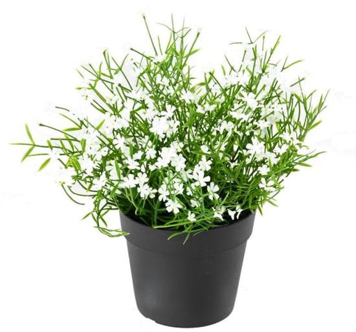 Artificiell Daisy Plant Mini I Kruka 20Cm