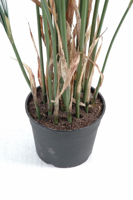 Konstgjord Växt Papyrus Cyperus 125 Cm I Kruka