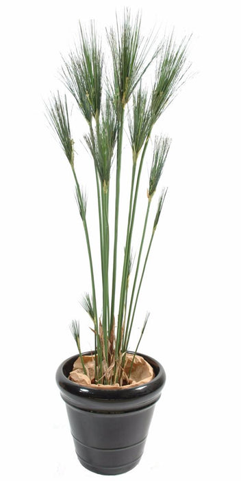 Konstgjord Växt Papyrus Cyperus Inomhus 155Cm