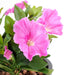 Konstgjord Växt Petunia Fuchsia 25Cm På Stake