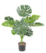 Konstgjord Växt Philodendron 75 Cm Inredning