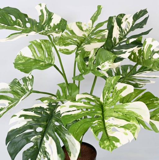 Konstgjord Växt Philodendron 75Cm Med Kruka