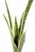 Konstgjord Växt Sansevieria 105Cm Inomhus Grön Gul